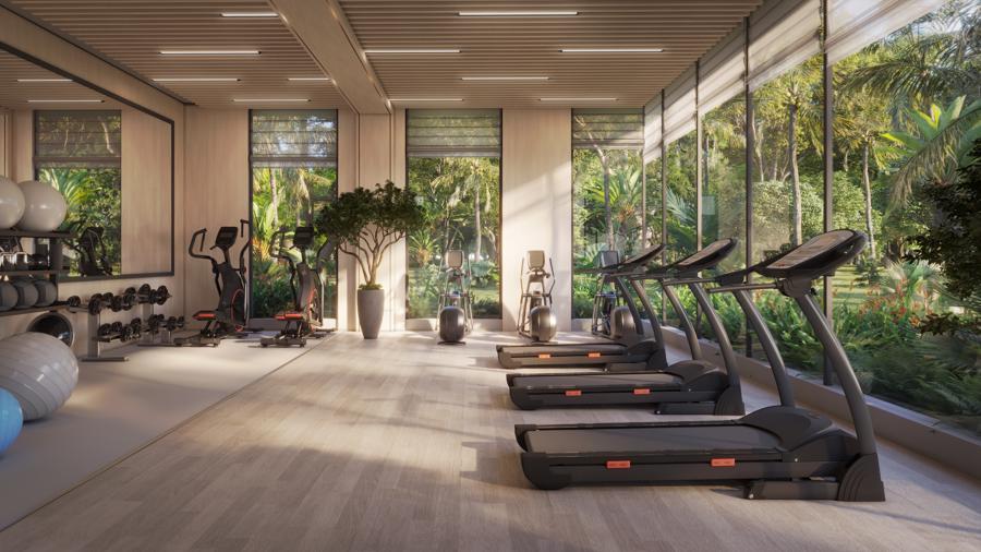Phòng gym rèn luyện thể chất.